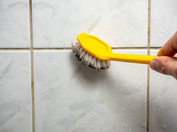 Best Mold Testing  in Algonac, MI
