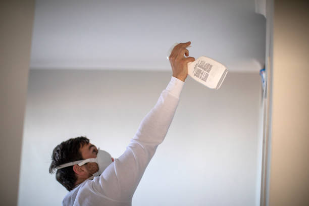 Best Best Mold Removal Companies  in Algonac, MI
