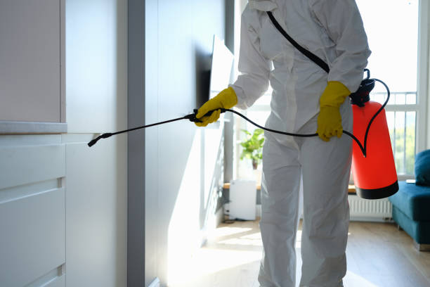 Best Crawl Space Mold Removal  in Algonac, MI