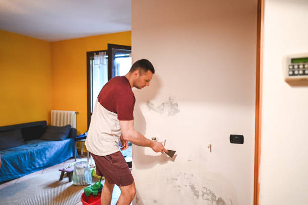 Best Mold Removal Near Me  in Algonac, MI